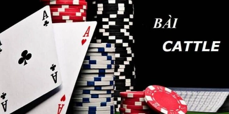Bài Catte 6 lá thu hút nhiều người chơi tại Go88 Bài Catte 6 lá thu hút nhiều người chơi tại Go88