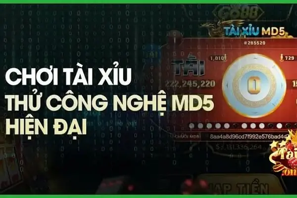 Bí quyết giúp bạn chơi Tài xỉu MD5 hiệu quả, thắng lớn Bí quyết giúp bạn chơi Tài xỉu MD5 hiệu quả, thắng lớn
