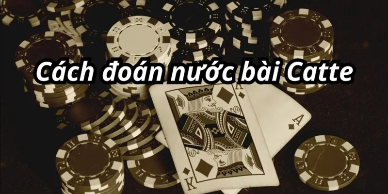 meo choi catte meo choi catte