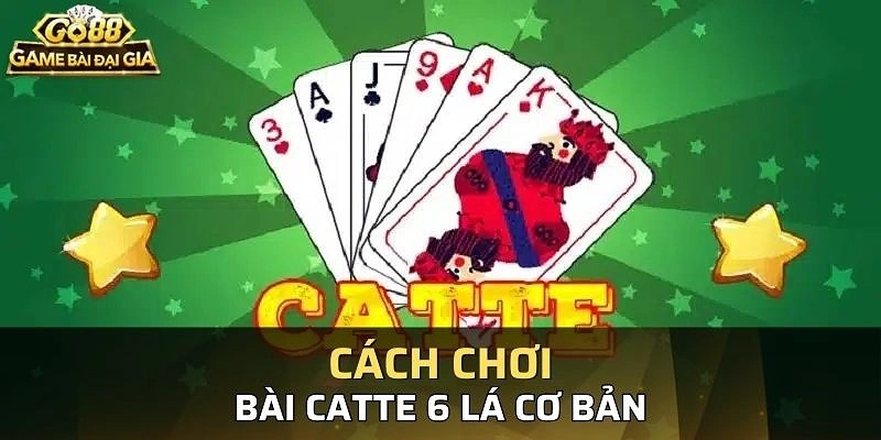 Một số mẹo chơi Catte 6 lá thú vị nên tham khảo Một số mẹo chơi Catte 6 lá thú vị nên tham khảo