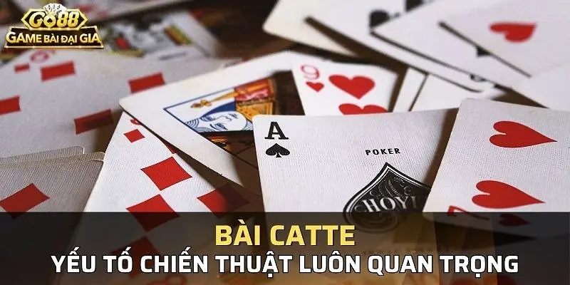 Những mẹo chơi Catte hiệu quả tại Go88 online Những mẹo chơi Catte hiệu quả tại Go88 online