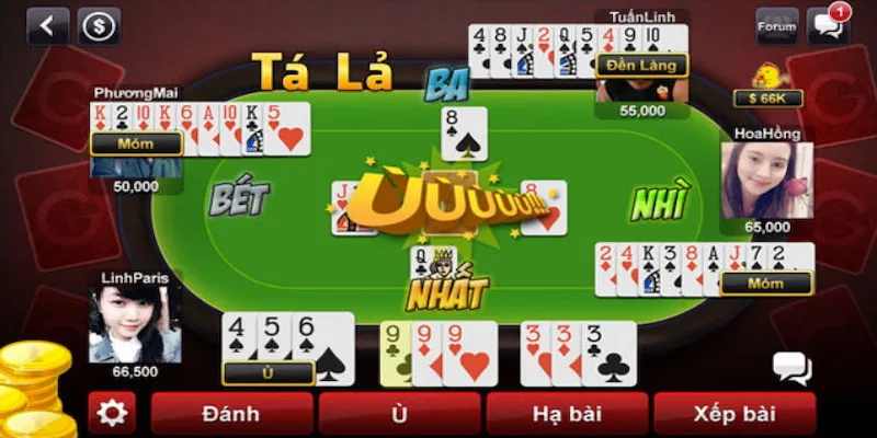 Những Thông Tin Quan Trọng Cần Ghi Nhớ Khi Chơi Phỏm Go88 